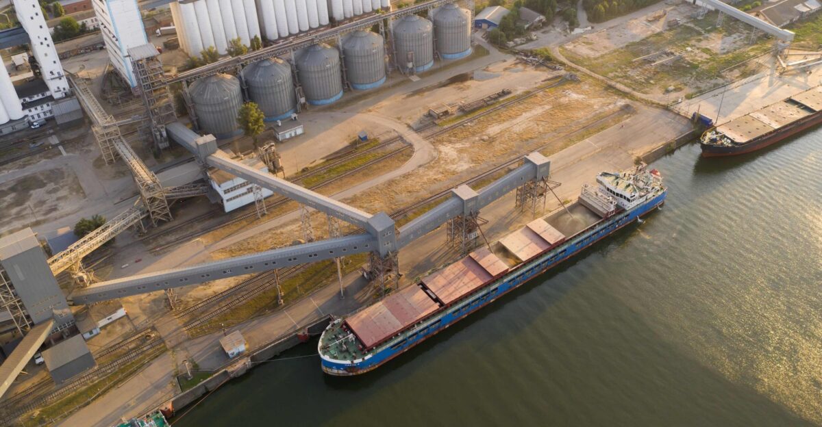 How sanctions on Russia and Belarus are impacting exports of