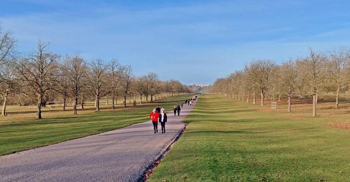 The Long Walk Windsor Great Park