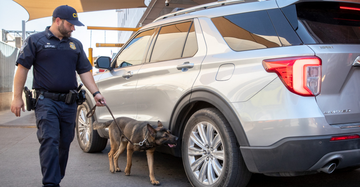U.S. Customs and Border Protection officers inspect an outbound vehicle at the Port of DeConcini in Nogales, Arizona, June 11, 2024