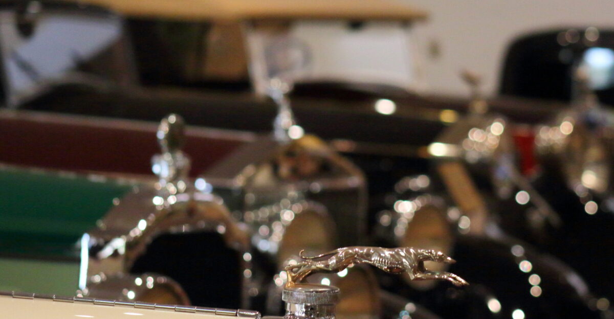 Multiple cars on display at the car collection of the Prince of Monaco 2021