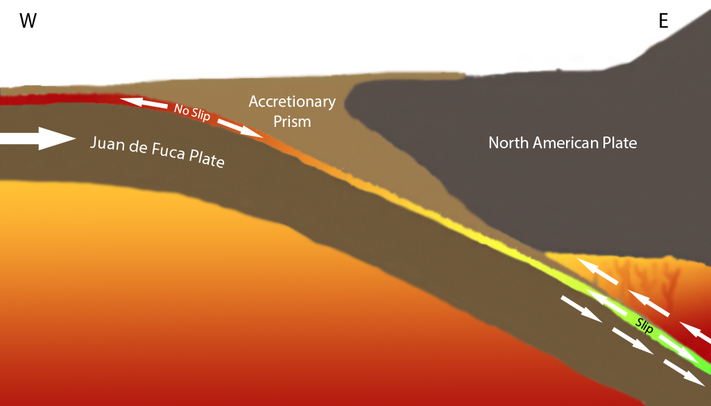 This is the Juan de Fuca Plate subducting under the North American Plate showing the movement of the plate where the slow slip event is taking place