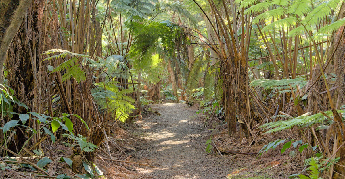 Crater Rim Trail Hawai i Volcanoes National Park