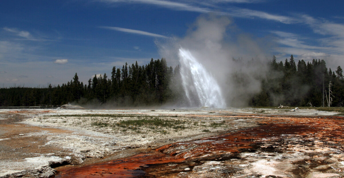 Daisy Geyser erupting in Yellowstone National Park