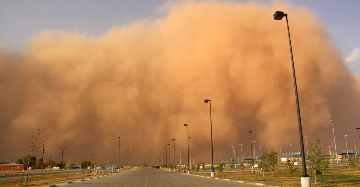 Illinois Dust Storm Disaster Is a Warning for Agriculture - Union