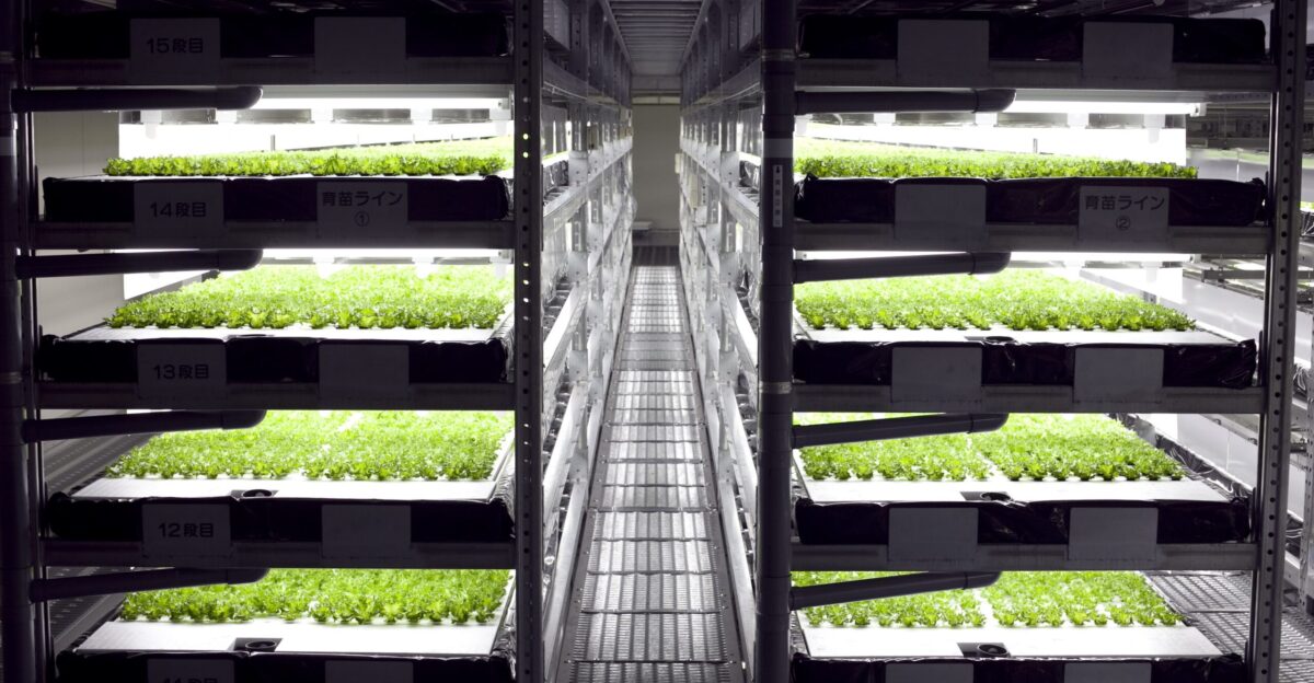 Raising crops vertical farming in Japan - Foodservice Consultants
