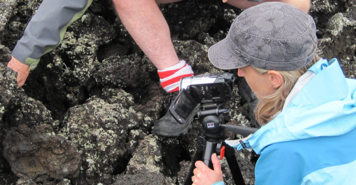 Exploring volcanic rocks of New Zealand