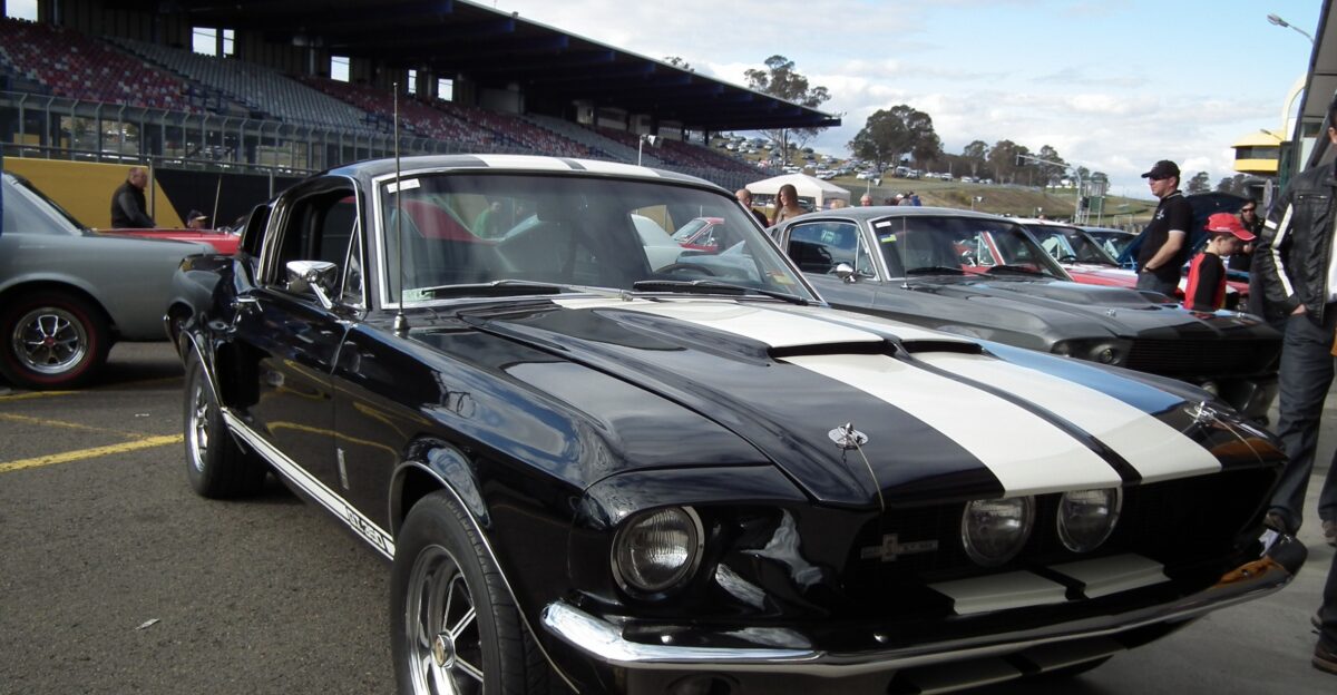 Ford Mustang Shelby GT350 coupe Taken at the 2012 New South Wales All Ford Day held at Sydney Motorsport Park formerly Eastern Creek Raceway