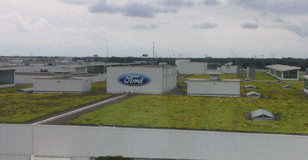 Green roof at <a href="https://en.wikipedia.org/wiki/Ford_River_Rouge_Complex" class="extiw" title="w:Ford River Rouge Complex">Ford River Rouge Complex</a> in 2019