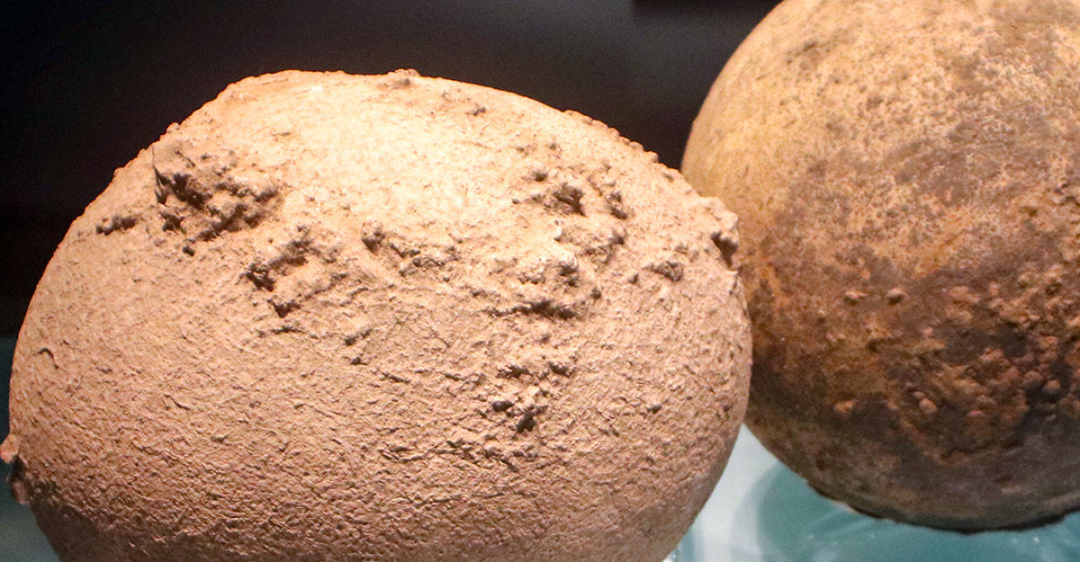 Fossilized Ostrich Eggs, Pleistocene Epoch