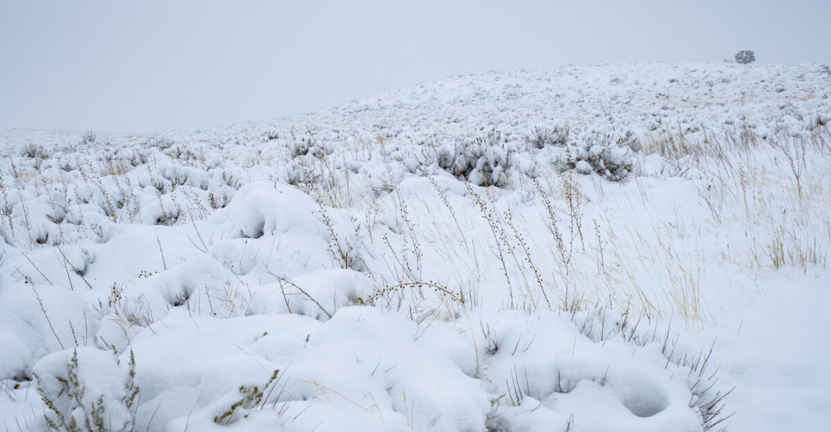 Four Dances Natural Area near Billings Montana offers year-round hiking opportunities Photo by Ann Boucher
