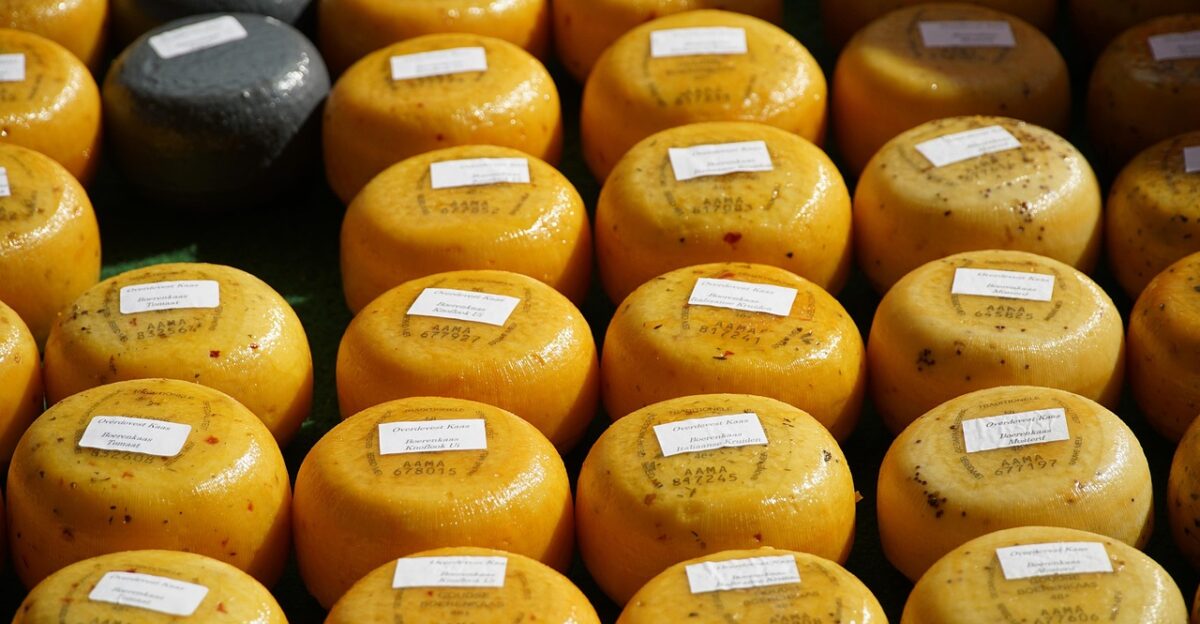 cheese dutch cheese market food cheese cheese cheese cheese cheese