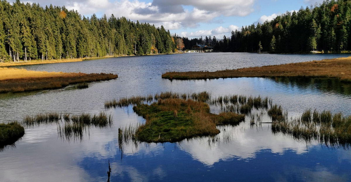 great arber lake, bavarian forest, lake, great arber, bavarian eisenstein, nature reserve, bavaria, germany, forest, nature, landscape, county rain, water, heaven, clouds, recreation, destination, vacations, ground corn