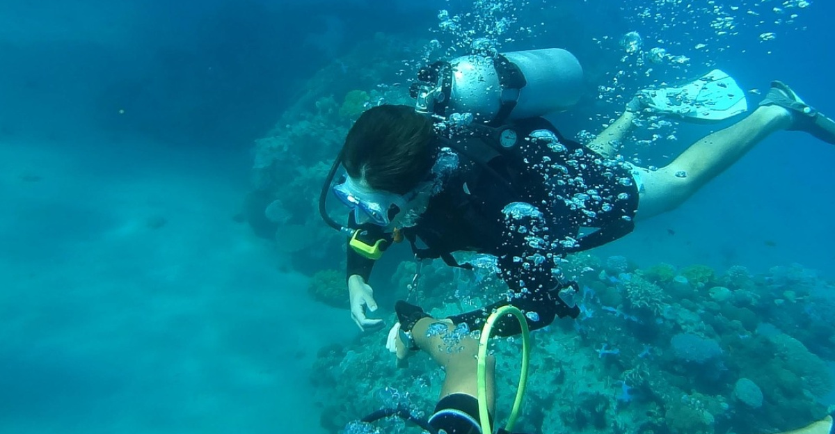 diving, sea, underwater, water, blue, nature, summer, ocean, marine, dive, fish, deep, scuba, mask, swimming, blue fish, blue fishing