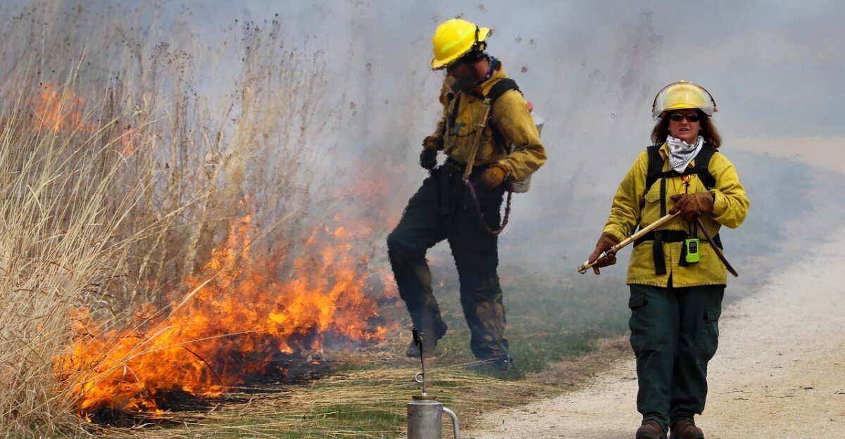 firefighting nature firefighters meadow fire burning smoke field grass firemen