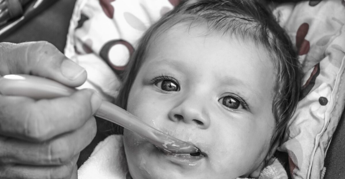 baby feeding child infant cute food eating nutrition feed hungry gray food gray eating gray nutrition