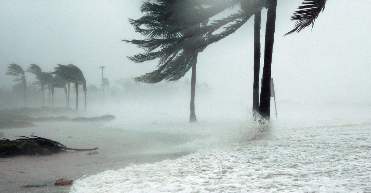 key west, florida, hurricane, dennis, storm, surge, water, raining, wind, blowing, dangerous, sea, ocean, nature, palm trees, beach, weather