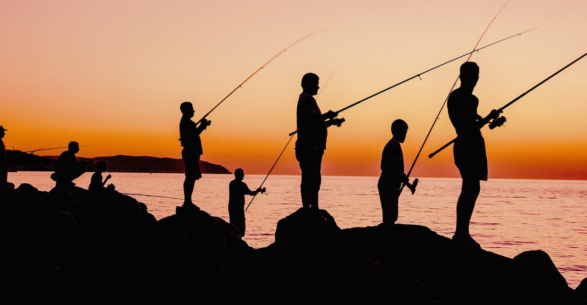fishing, sunset, nature, fishermen, silhouette