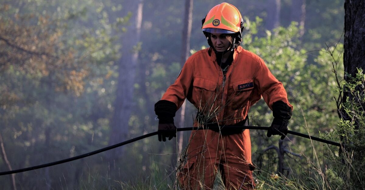 fire forest fire firefighter forest bushfire woman nature courage fire fighting drought