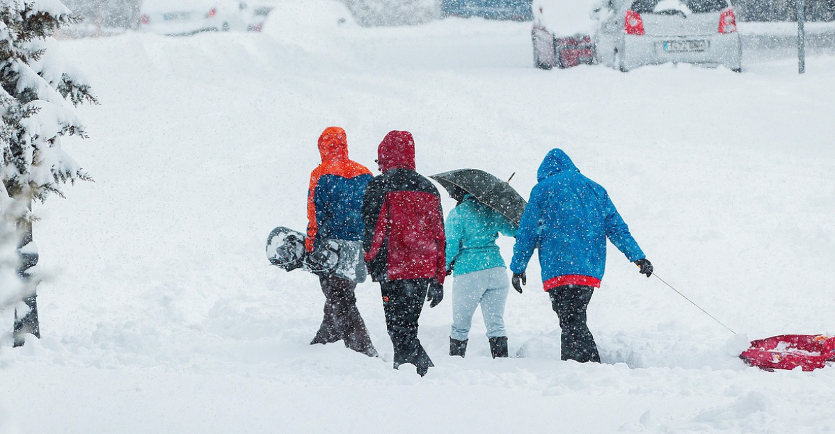 invierno, españa, madrid, filomena, tormenta, frío, españa, madrid, madrid, madrid, madrid, madrid, filomena, filomena