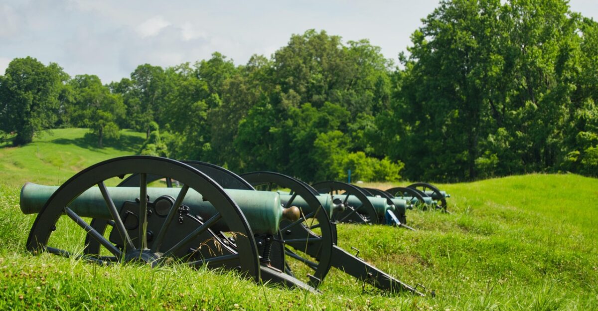 artillery position vicksburg mississippi cannon trees meadow grass artillery civil war nature field green battlefield heaven battle landscape