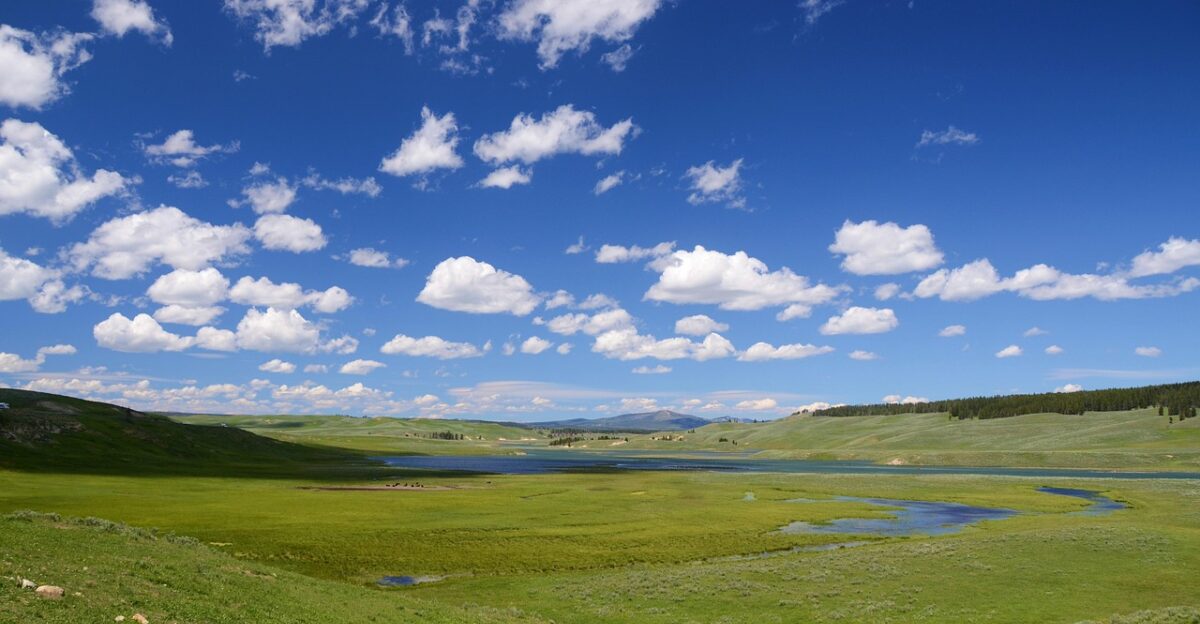 valley field landscape meadow scenery scenic nature hayden valley yellowstone national park wyoming usa valley field field field field field scenery