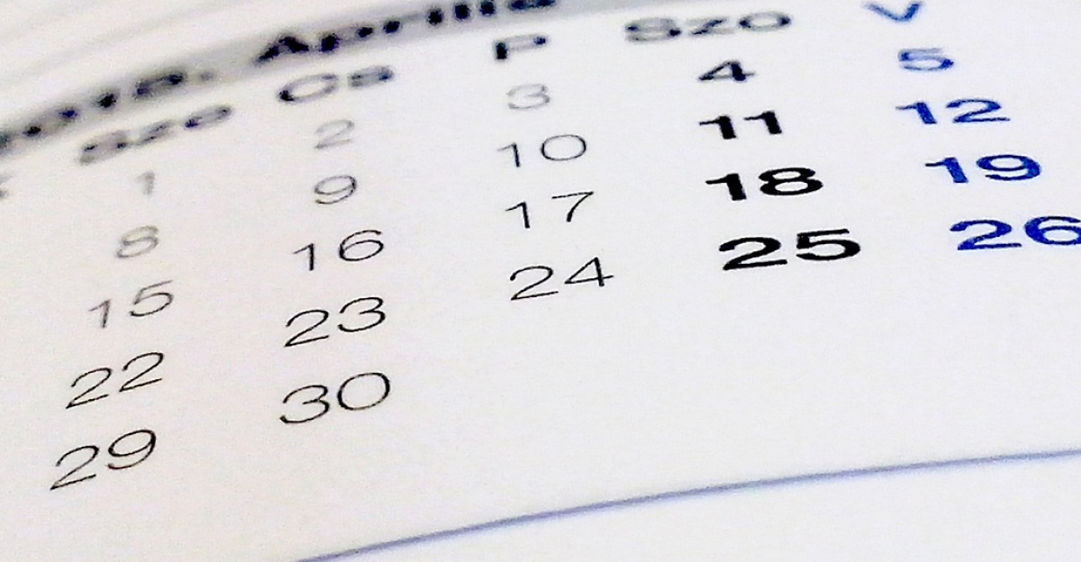 book, calendar, paper, calendar, calendar, calendar, calendar, calendar