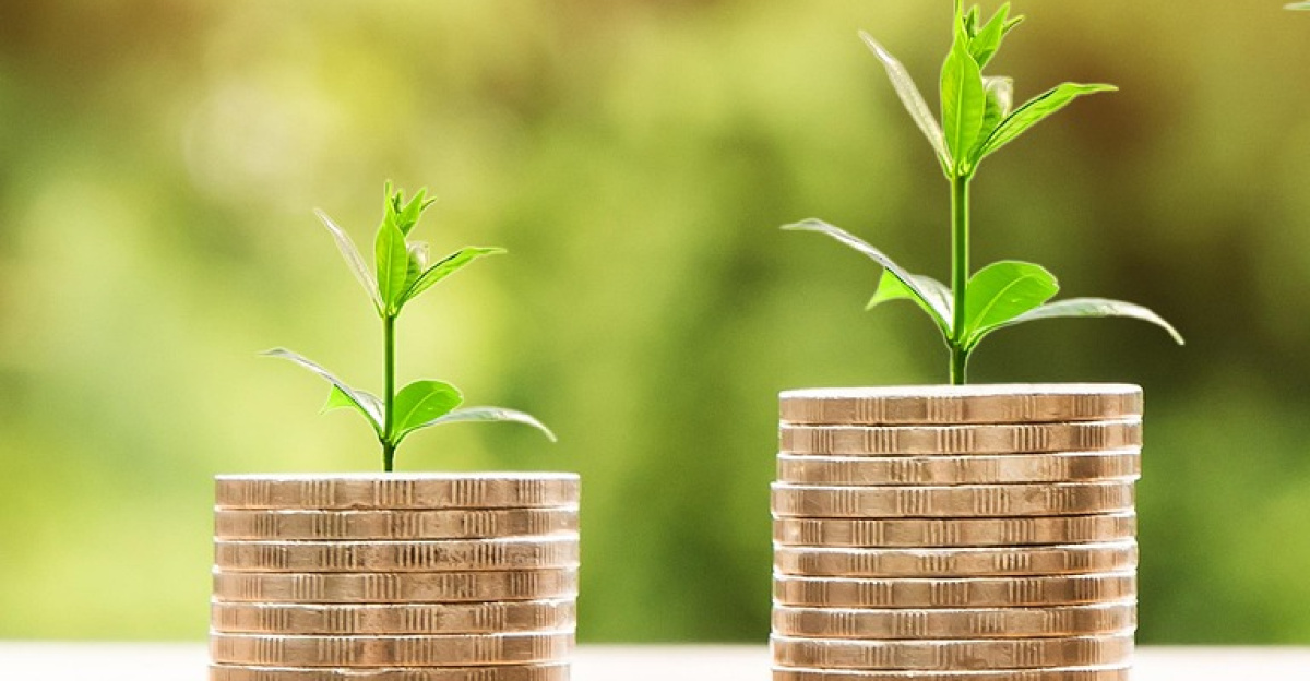 money, profit, finance, business, return, yield, financial, cash, currency, investment, banking, wealth, coin, economy, success, loan, salary, rich, credit, payment, savings, save, deposit, growth, income