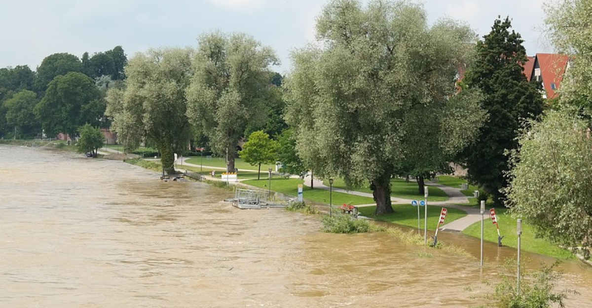 flood, road, locked, damage, flood damage, destruction, danube, ulm, flooding, water, water level, peak, flow, riverside, nature, catastrophe, flood disaster, storm, force of nature, civil protection, flood of the century, climate change