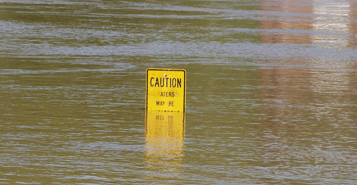 flood, tennessee, river, damage, danger, rain, nature, devastation, storm, state of emergency, broken, loss, tragic, ruined, destruction, catastrophe, emergency, aftermath, disaster, insurance, flood, flood, flood, flood, flood