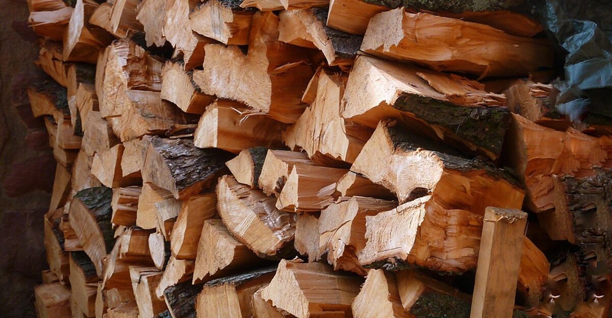 wood firewood pile of wood wood supply log stacked up sawed off storage timber like smart stack stock firewood firewood firewood firewood firewood