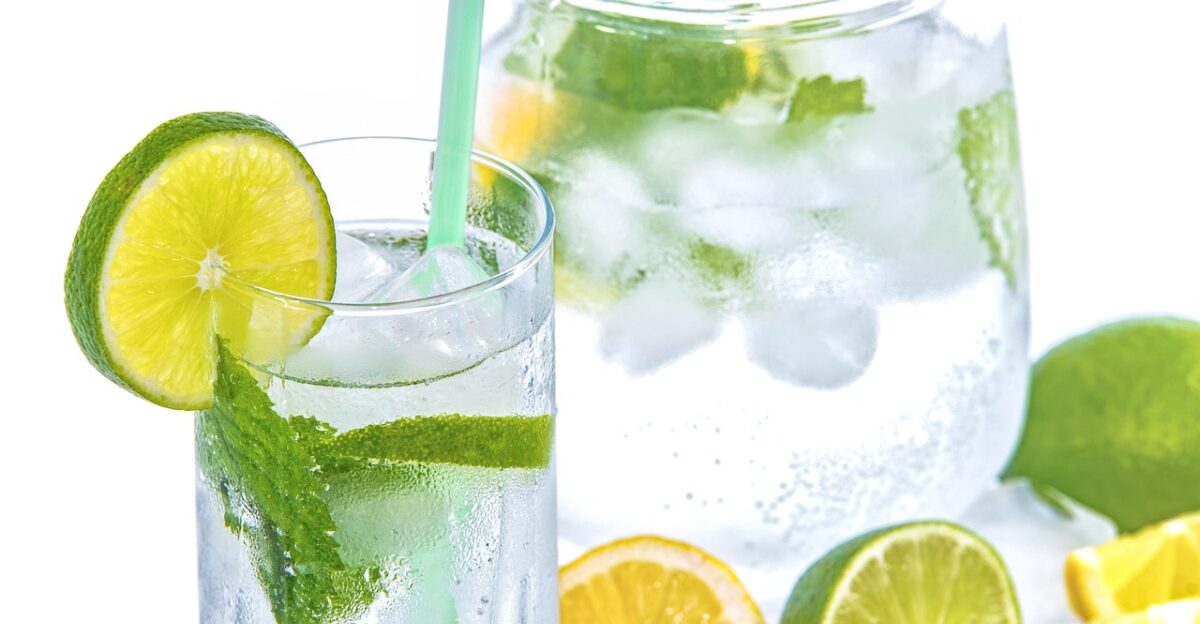 drink glass lime mint cold fresh refreshing citrus lemonade refreshment beverage carbonated water fruit juice tonic water straw drink drink drink drink drink mint lemonade lemonade lemonade fruit fruit fruit juice juice juice juice