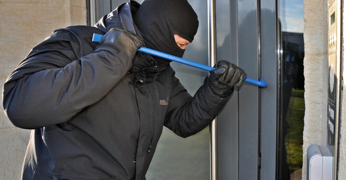 burglar mask kuhfuss burglar burglar burglar burglar burglar