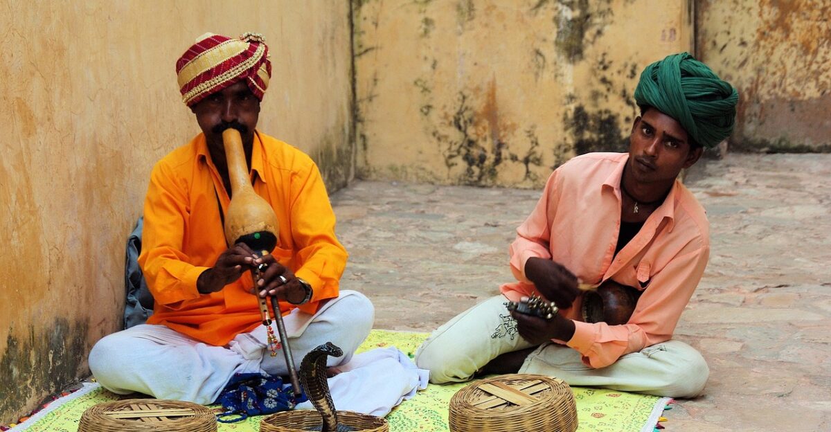 india snake music snake charmer jaipur india snake snake snake snake snake charmer snake charmer snake charmer jaipur jaipur jaipur jaipur jaipur