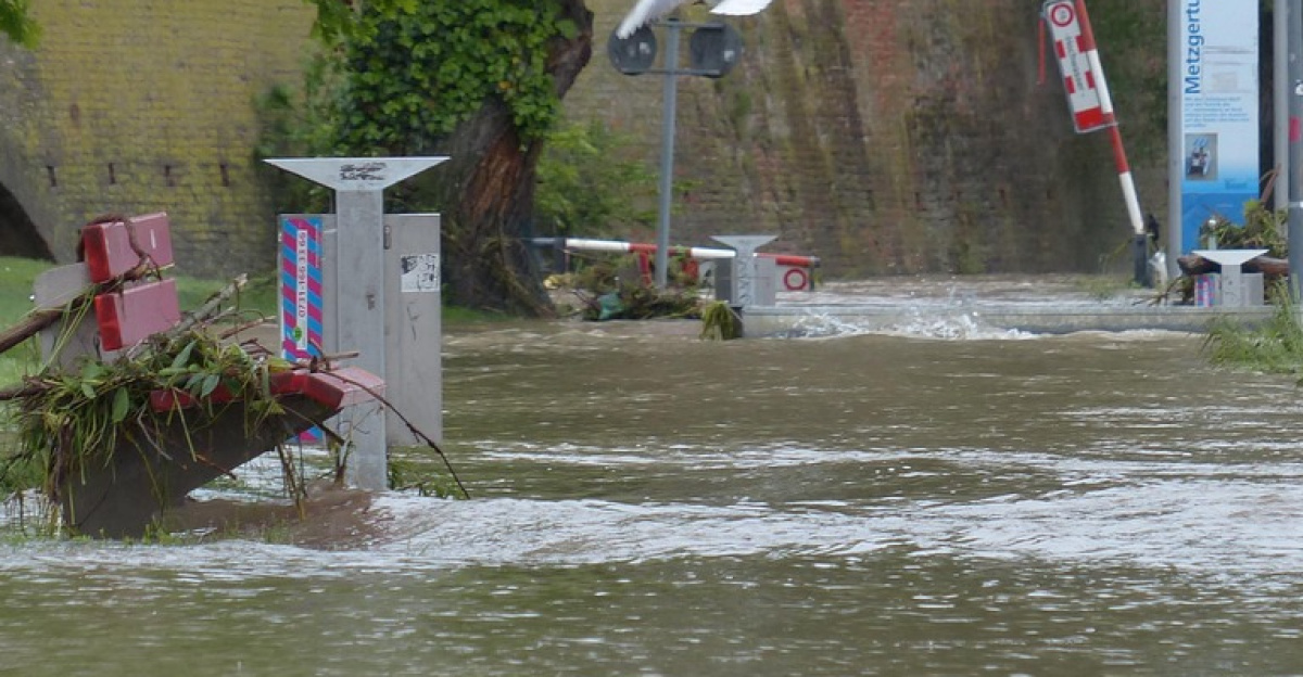 flood, danube, ulm, catastrophe, destruction, road, river floodplain, city park, nature, flooded, locked, damage, flood damage, rainy weather, cloudy, rain, wet, precipitation, flooding, water, water level, peak, flow, riverside, flood disaster, storm, force of nature, civil protection, flood of the century, climate change