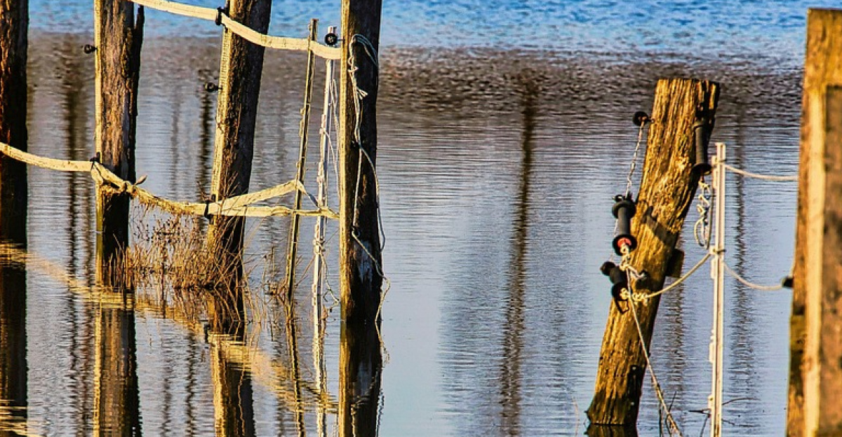 fence, flooding, water, flood, climate change, flood disaster, flooded, meadow, coupling, landscape, rural, nature, countryside