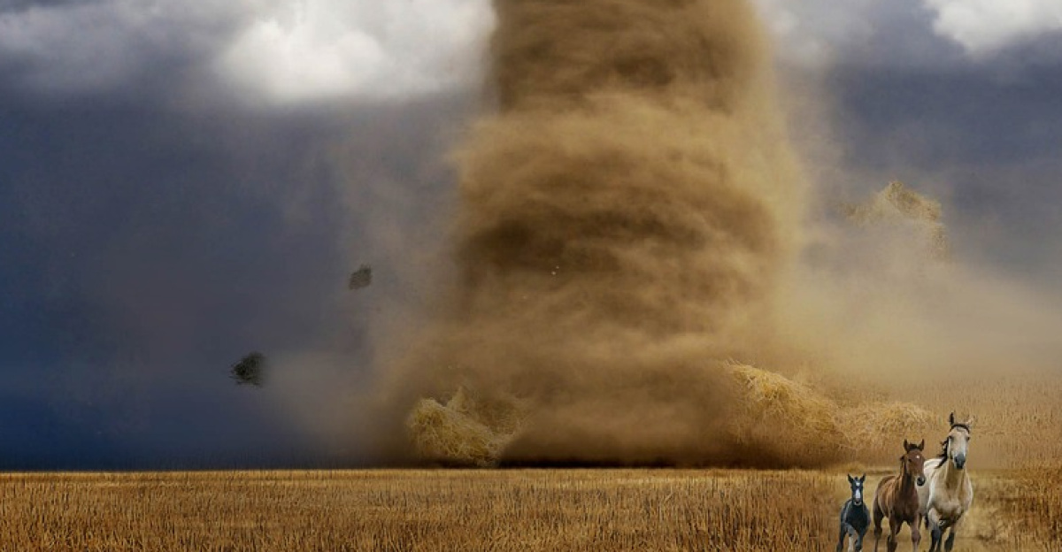 fantasy, storm, tornado, field, landscape, enormous, lightning, straw, automobile, horses, tornado, tornado, tornado, tornado, tornado