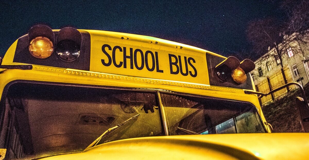 school bus bus school school buses automobile usa training children vehicle buses to travel transport traffic yellow school bus school bus school bus school bus school bus