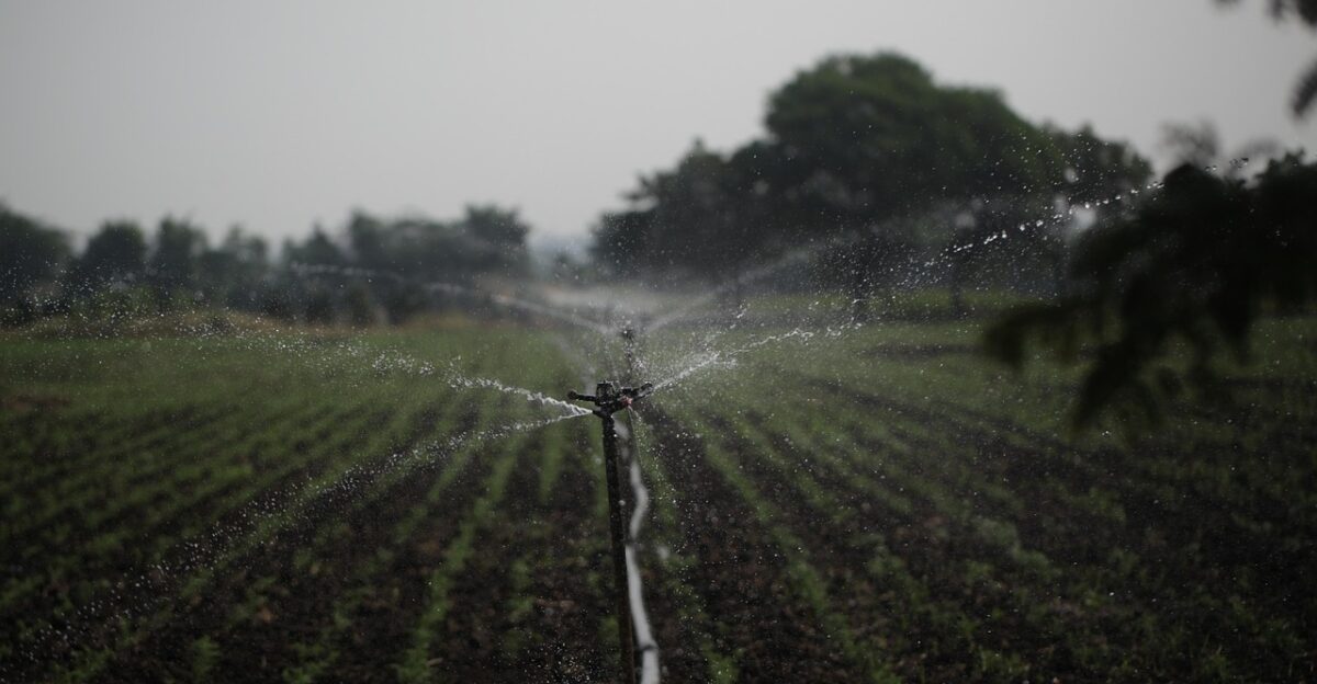 sprinkler irrigation water management agriculture water conservation sustainability farmland sprinkler sprinkler sprinkler sprinkler sprinkler irrigation irrigation irrigation irrigation water management water management