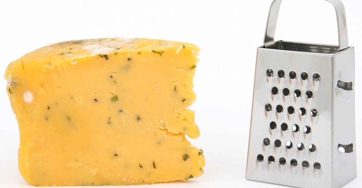 age bacteria biology blue brie bug cheese dairy dangerous dirty disease disinfect food germs grate grater harmful health illness infection isolated kitchen life macro mature medical metal micro microbes microscopic mould natural old organism penicillin prevention rotten sanitation sick sickness stainless steel sterile stilton swiss unhealthy unsanitary virus white