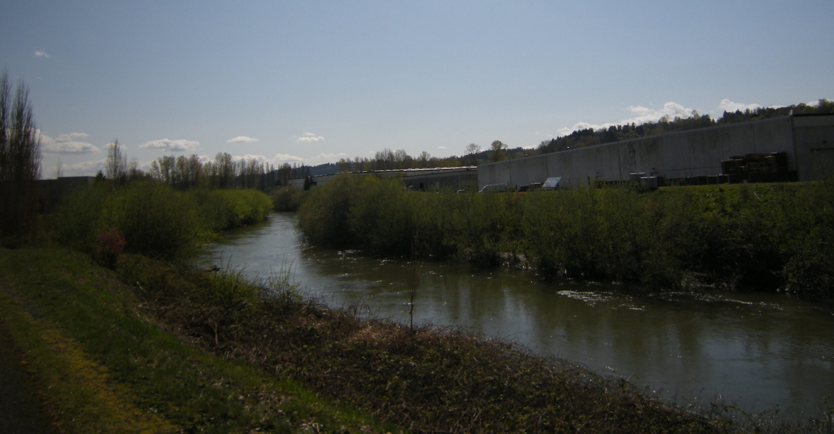 Looking at the river from Green River Trail, along the Desimone Levee, Tukwila, Washington. Looking upriver on the right bank.