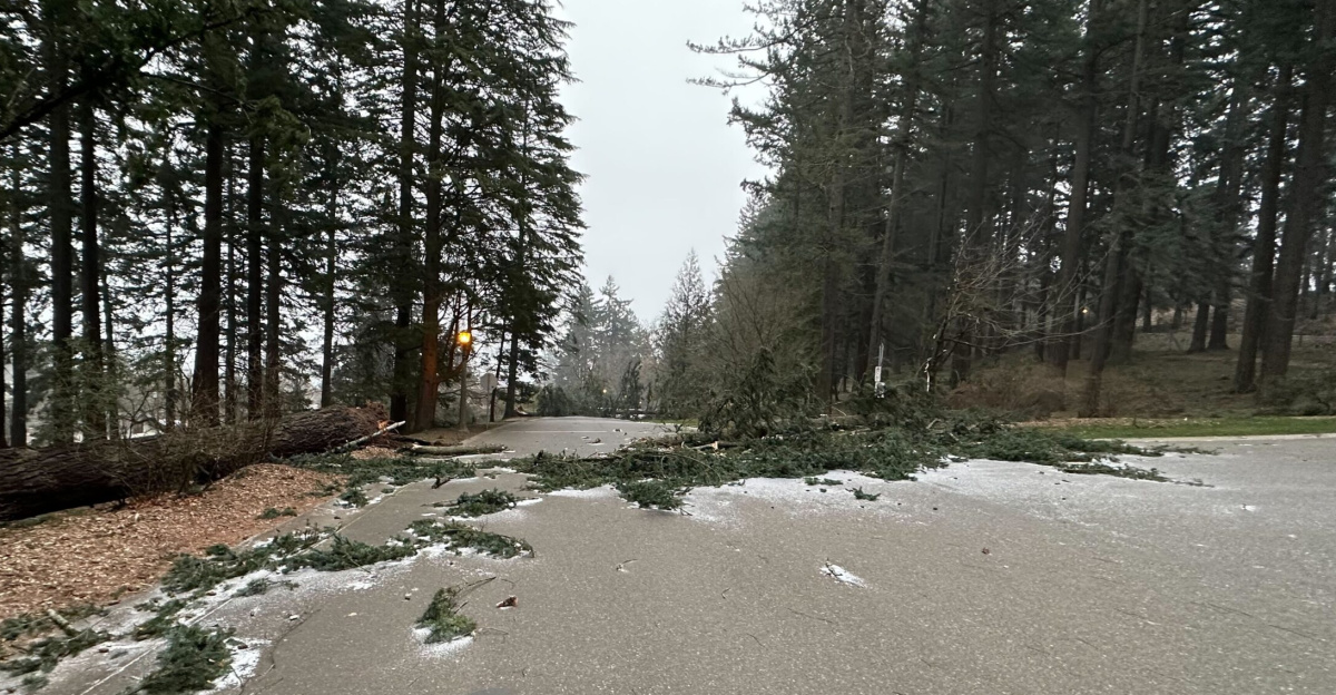 Damaging winds cause widespread power outages across Portland ...