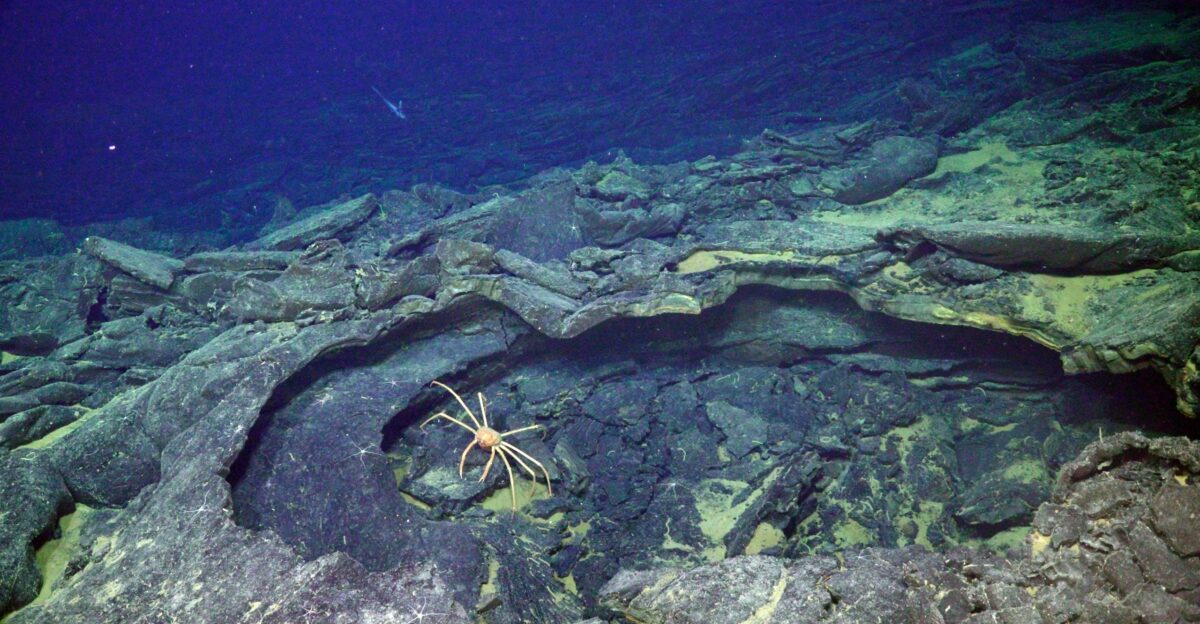Off We Go - Will Axial Seamount Surprise Us - OOI Regional Cabled