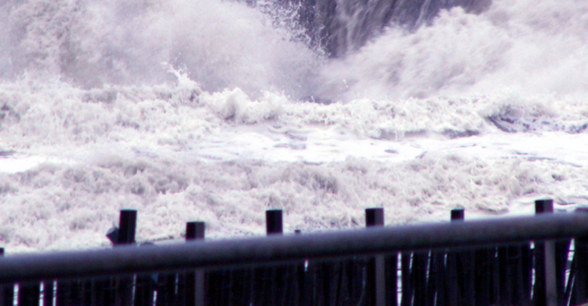 <p>RUN! 
</p>
This is the most excited I've every seen the Atlantic Ocean.  Even during hurricanes it wasn't this choppy.  I was so lucky to see this!