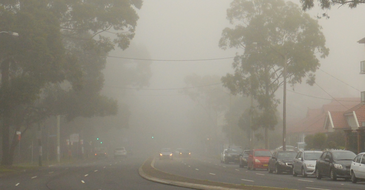 Fog, Gardeners Road, Kingsford, Sydney