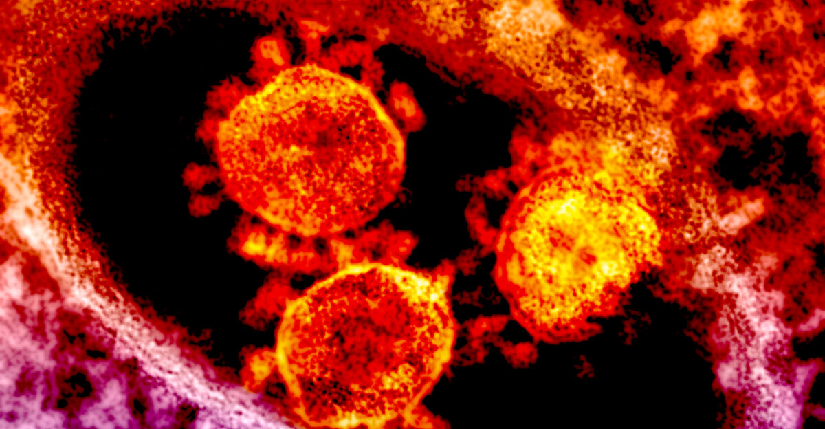 MERS antibodies produced in cattle safe treatment well tolerated