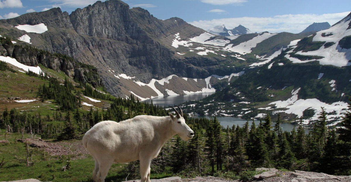Glacier National Park U S - Wikipedia