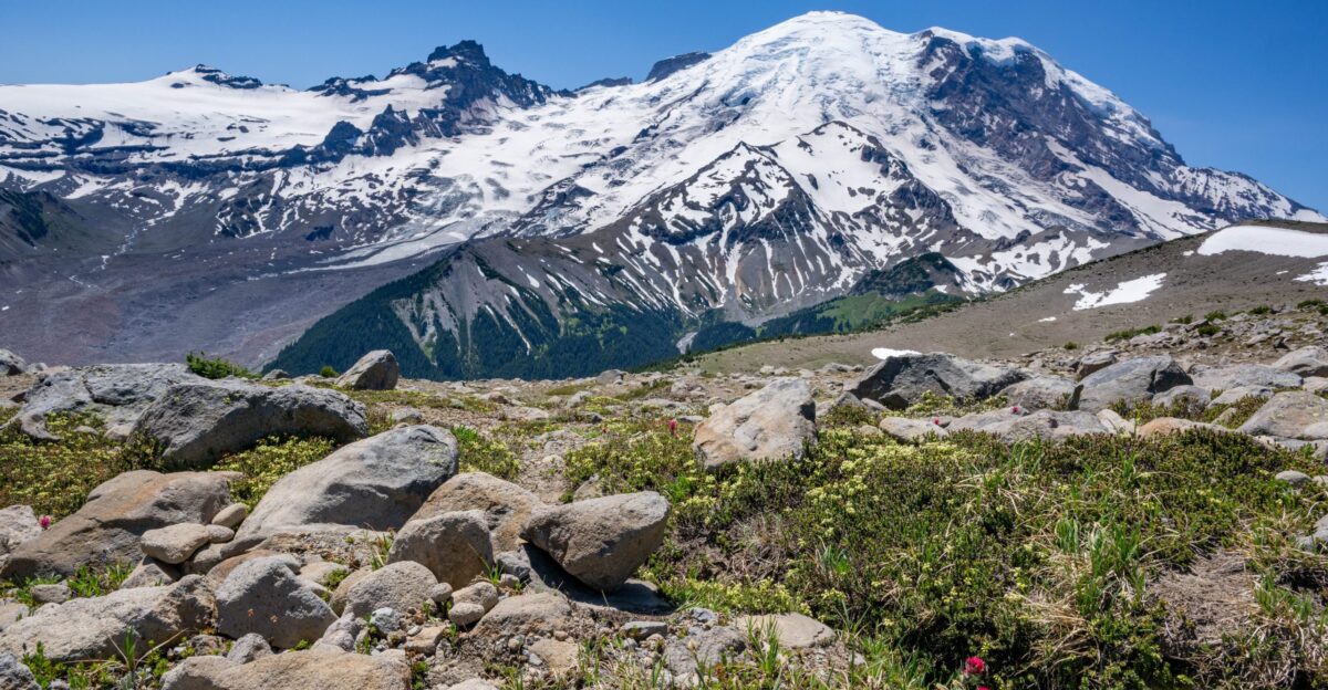 Mount Rainier and the Osceola Lahar - Enchanted by the Wild