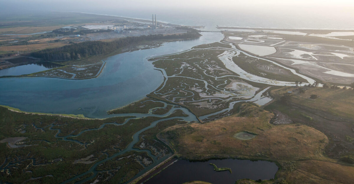 News Release NOAA Approves 2 2M to Restore Elkhorn Slough