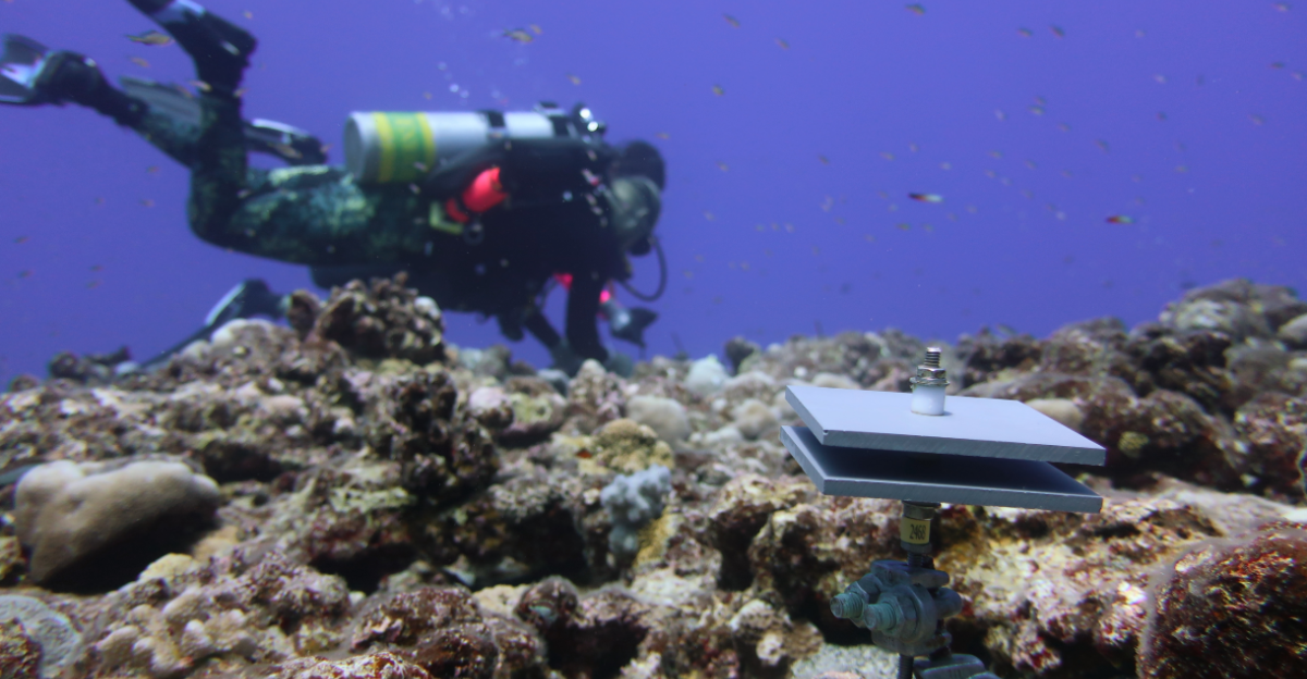 Two divers from the National Oceanic and Atmospheric Administration survey ship NOAAS Rainier S 221 install a temperature recorder off Maug Island West with a Calcification Accretion Unit CAU in the foreground