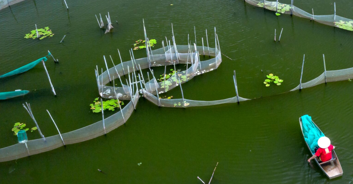 Aerial shot of a fish farm with a person in a boat navigating through nets on a tranquil lake.